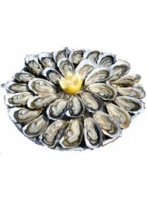 Stridii Gillardeau n°3, 48 buc